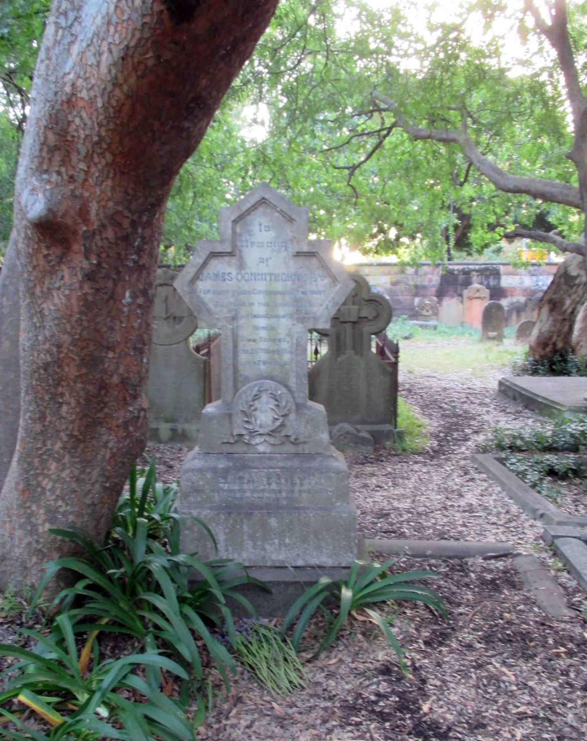 Eliza-grave-col-LOW-RES.jpg