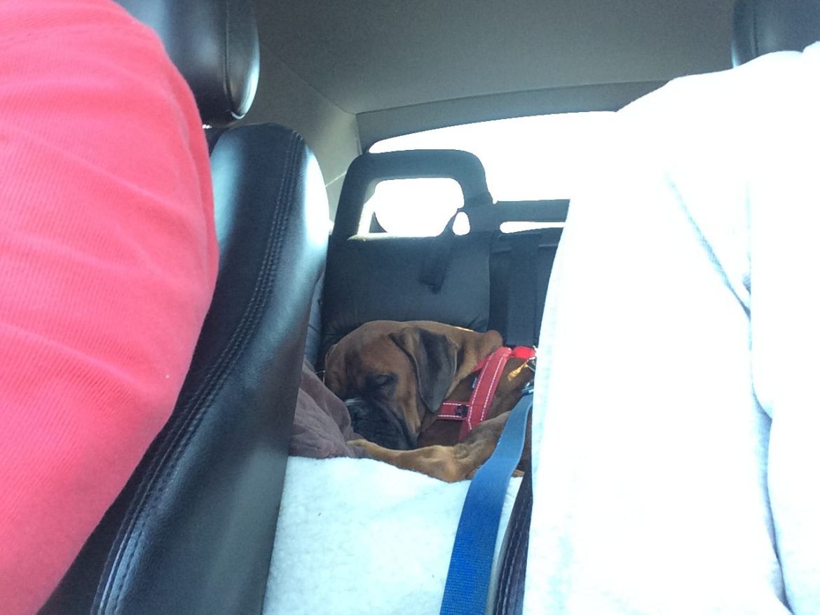 Vic-road-trip-Aug-2017-e1509078807268.jpg